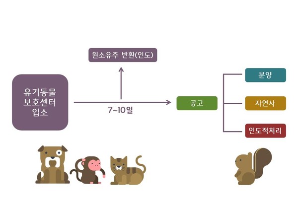 ▲유기동물 처리 체계도 (출처/ SBS 데이터저널리즘팀 마부작침)